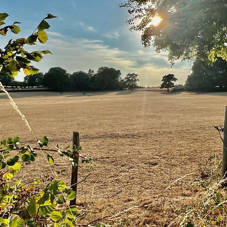 Arniss Farmhouse Fordingbridge Bagian luar foto