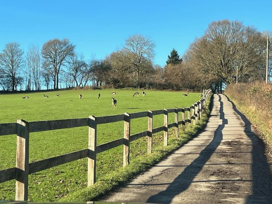 Arniss Farmhouse Fordingbridge Bagian luar foto